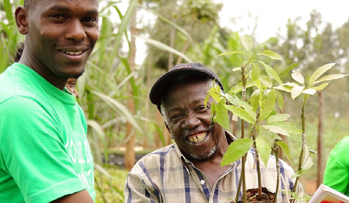 Keniaanse mensen houden boompjes vast